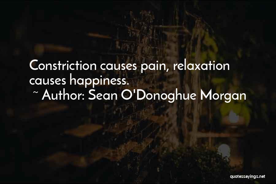 What Causes Happiness Quotes By Sean O'Donoghue Morgan