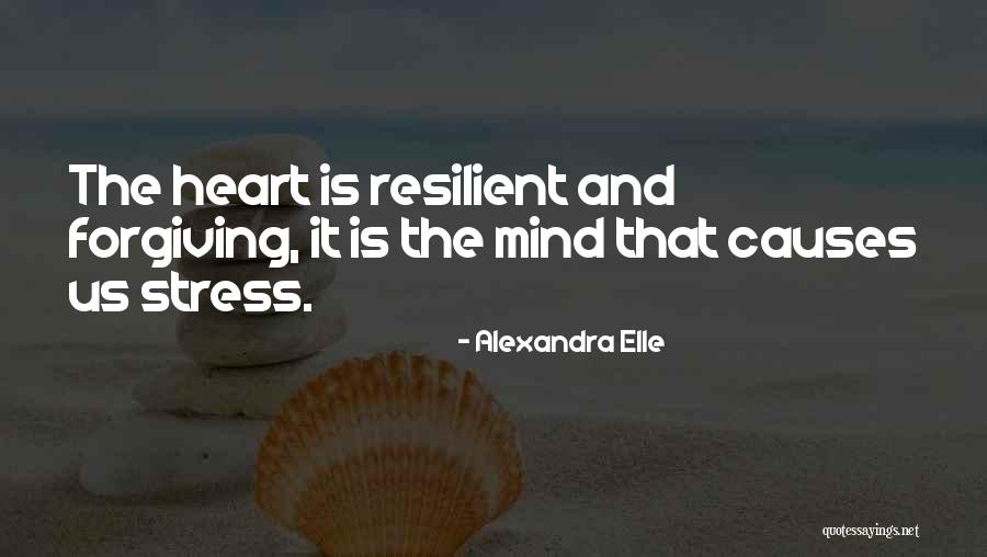 What Causes Stress Quotes By Alexandra Elle