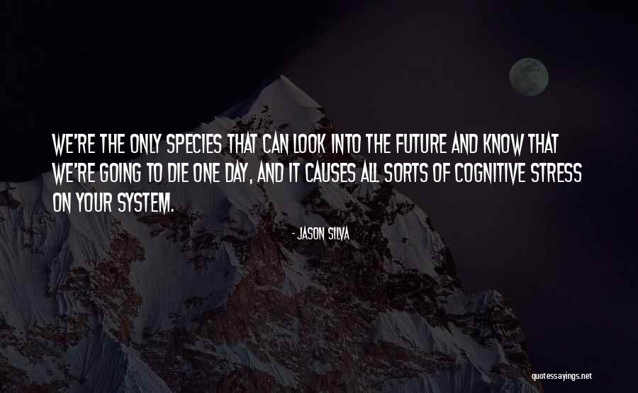 What Causes Stress Quotes By Jason Silva What Causes Stress Quotes By Jason Silva