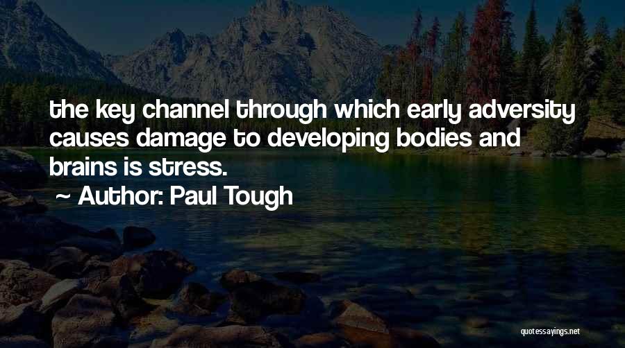 What Causes Stress Quotes By Paul Tough