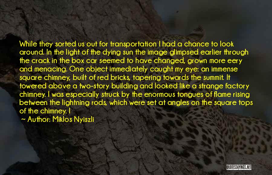 What Changed Between Us Quotes By Miklos Nyiszli