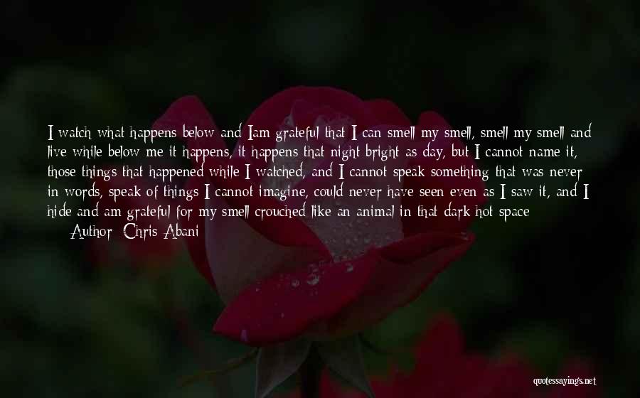 What Could Have Happened Quotes By Chris Abani