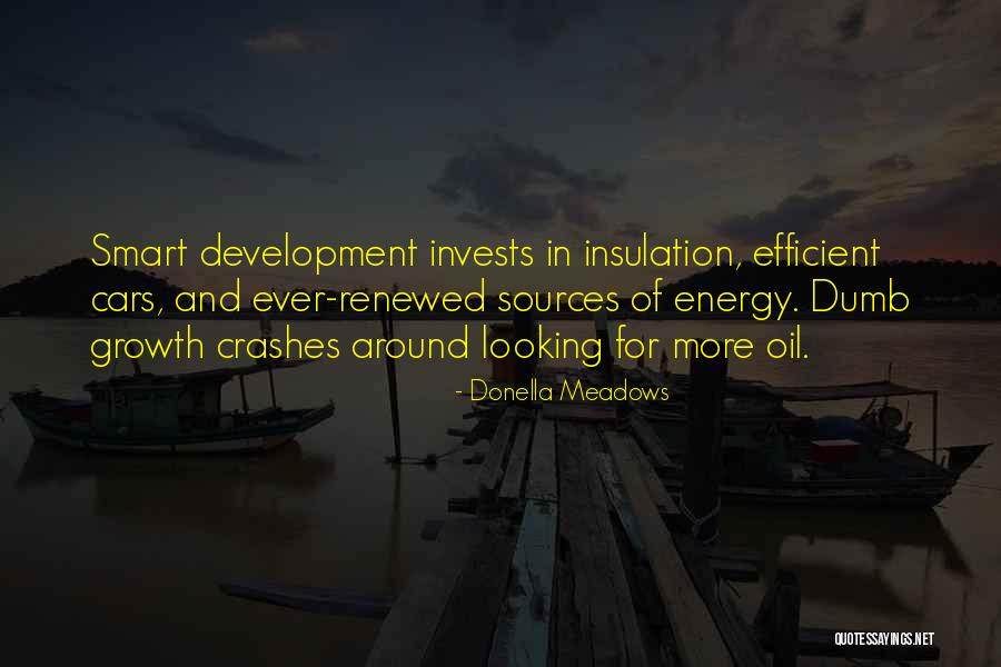 What Crashes Crashes Quotes By Donella Meadows What Crashes Crashes Quotes By Donella Meadows