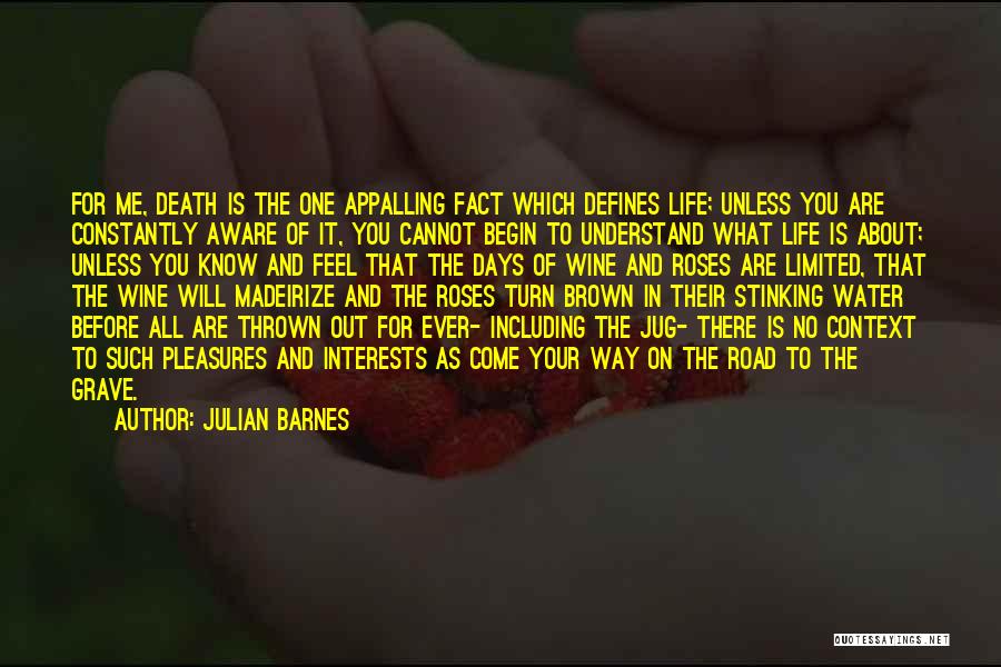 What Defines You Quotes By Julian Barnes