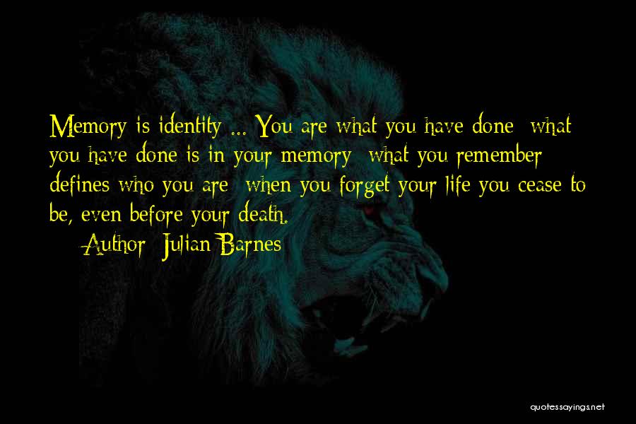 What Defines You Quotes By Julian Barnes