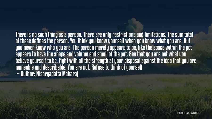 What Defines You Quotes By Nisargadatta Maharaj