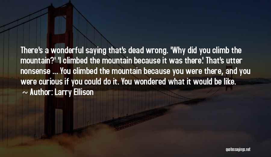 What Did I Do Wrong Quotes By Larry Ellison