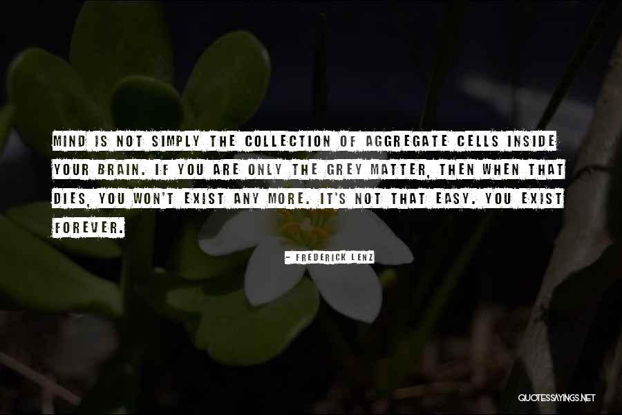 What Dies Inside Quotes By Frederick Lenz What Dies Inside Quotes By Frederick Lenz