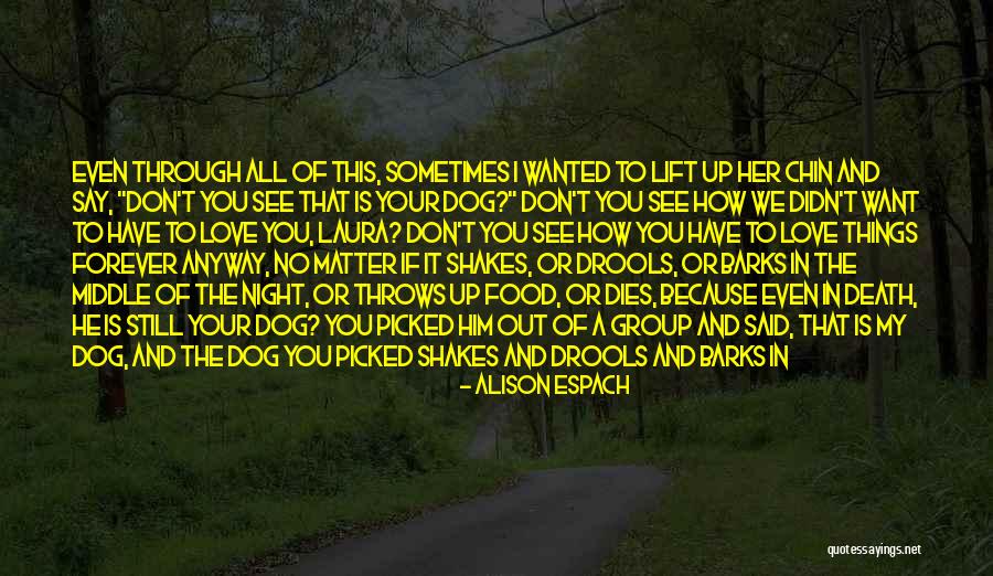 What Do You Say When A Dog Dies Quotes By Alison Espach What Do You Say When A Dog Dies Quotes By Alison Espach