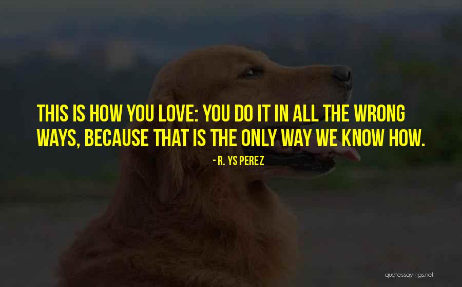 What Do You Say When A Pet Dies Quotes By R. YS Perez What Do You Say When A Pet Dies Quotes By R. YS Perez