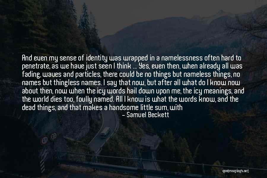 What Do You Think About Me Quotes By Samuel Beckett What Do You Think About Me Quotes By Samuel Beckett