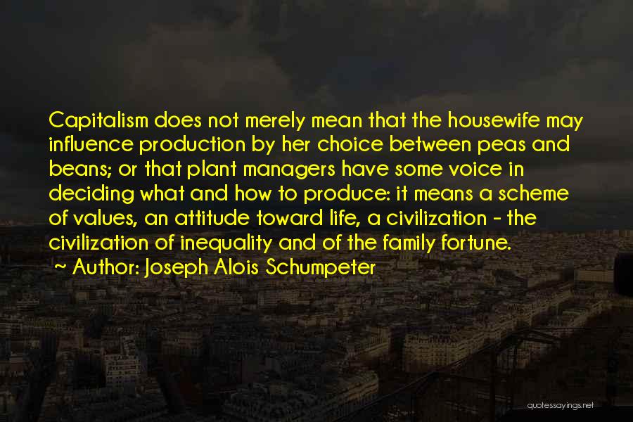 What Does Family Mean Quotes By Joseph Alois Schumpeter