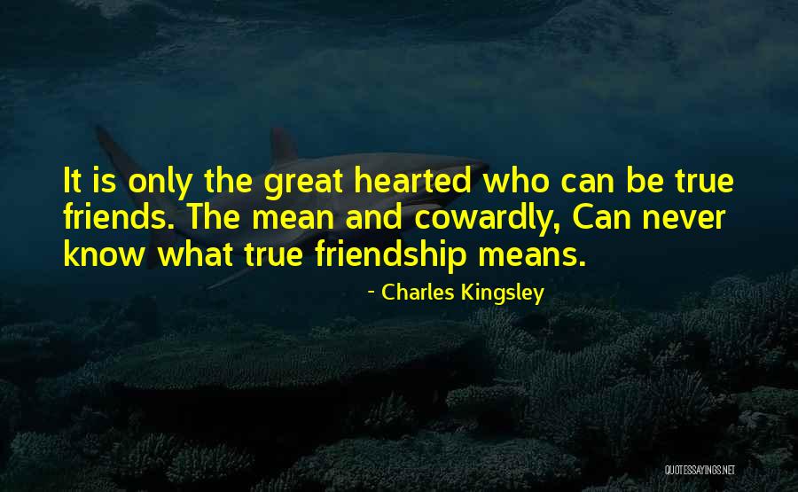 What Does Friendship Mean Quotes By Charles Kingsley