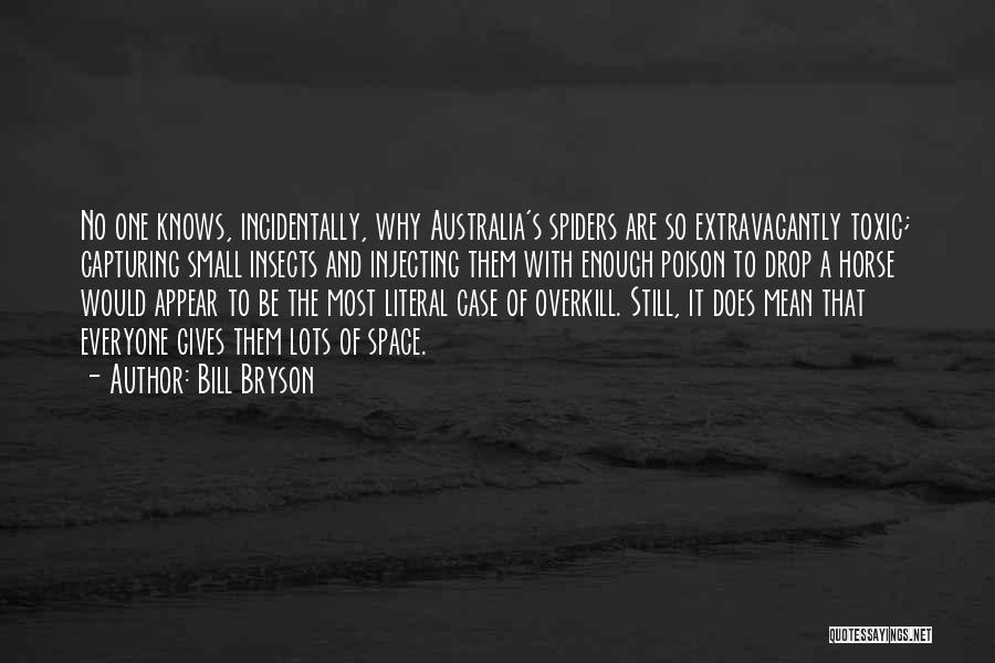 What Does It Mean To Drop Quotes By Bill Bryson