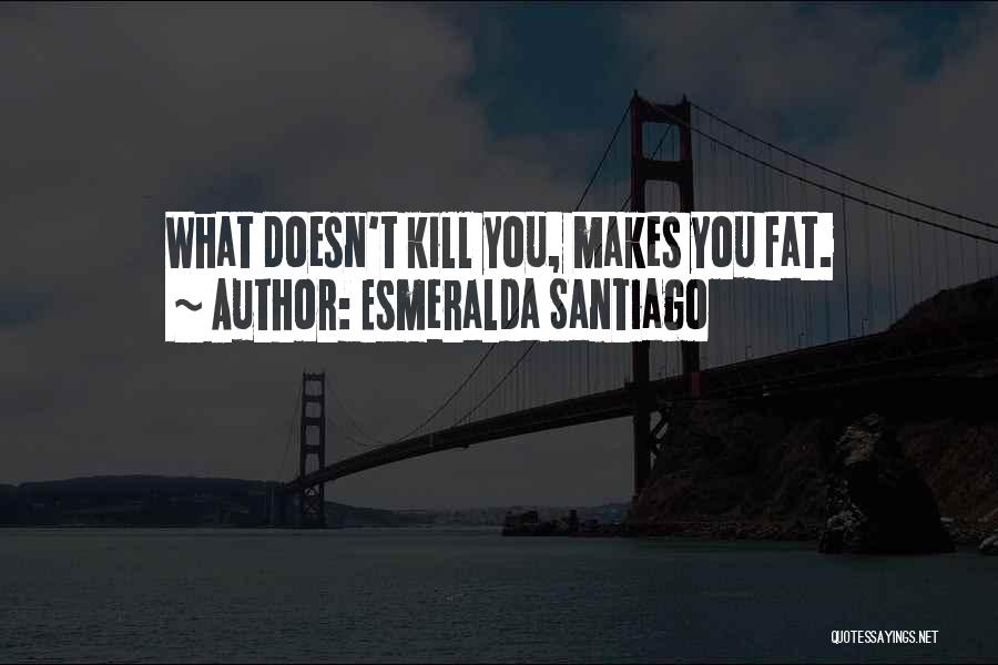 What Doesn Kill You Quotes By Esmeralda Santiago