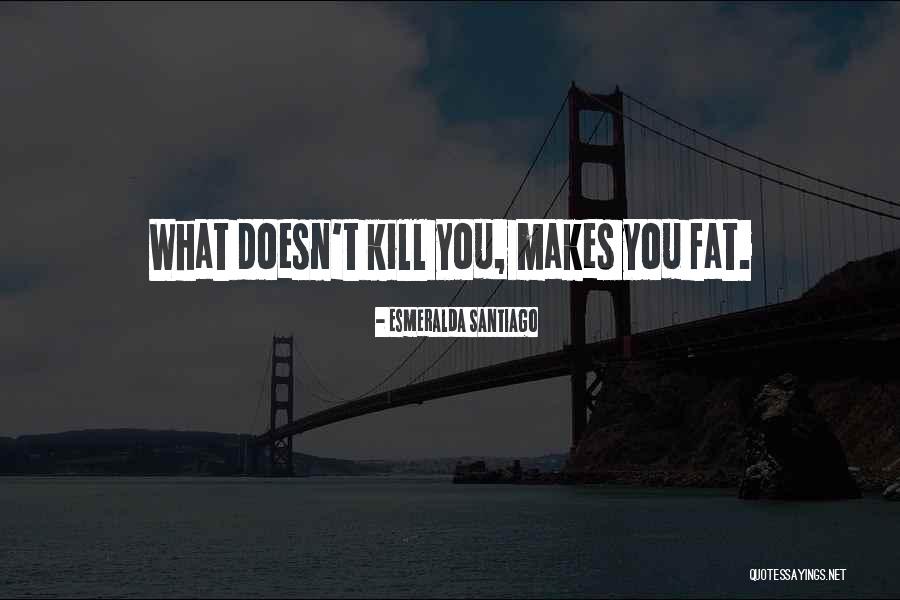 What Doesn Kill You Quotes By Esmeralda Santiago