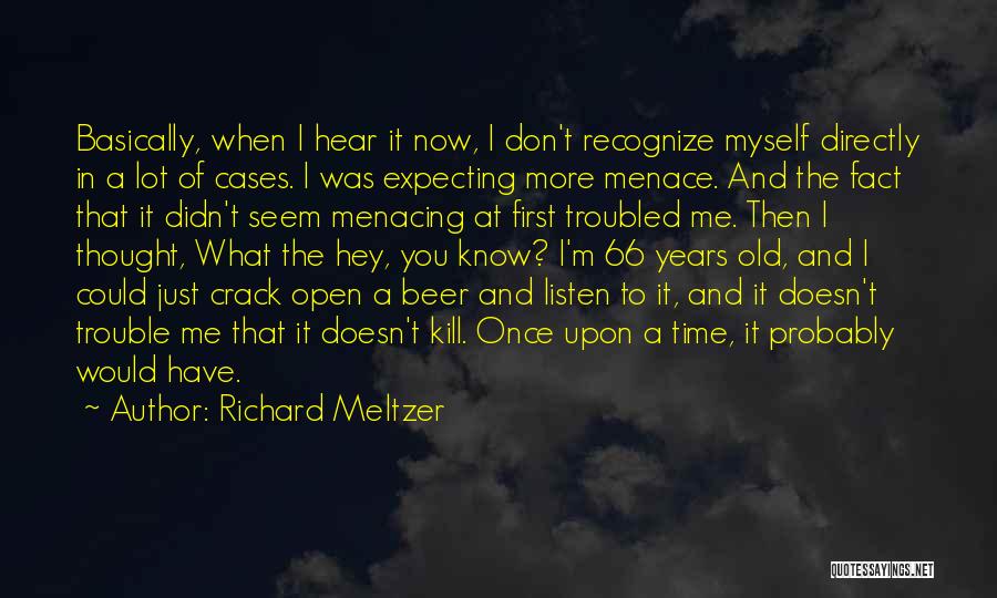 What Doesn Kill You Quotes By Richard Meltzer