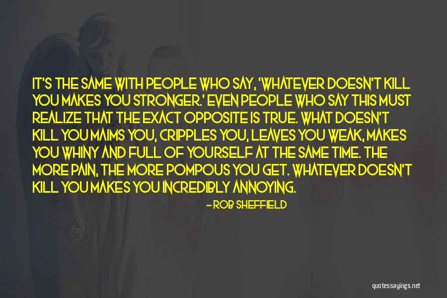 What Doesn Kill You Quotes By Rob Sheffield What Doesn Kill You Quotes By Rob Sheffield