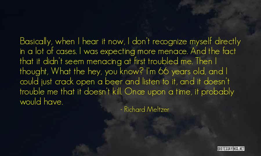 What Doesn T Kill You Quotes By Richard Meltzer What Doesn T Kill You Quotes By Richard Meltzer