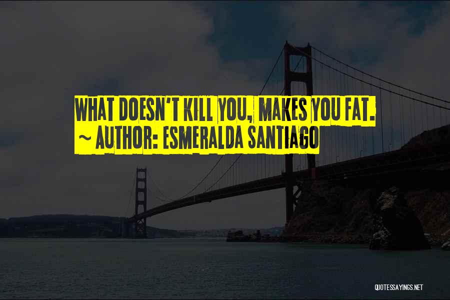 What Doesn't Kill You Quotes By Esmeralda Santiago