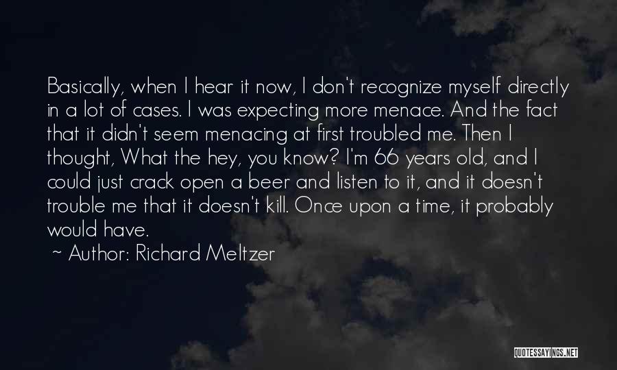 What Doesn't Kill You Quotes By Richard Meltzer
