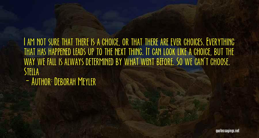 What Ever Happened Quotes By Deborah Meyler