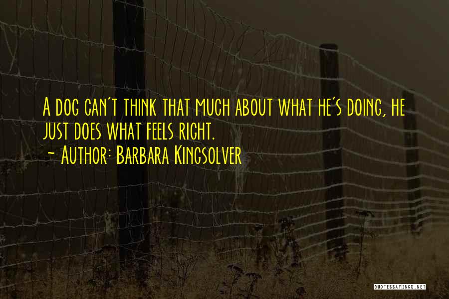 What Feels Right Quotes By Barbara Kingsolver