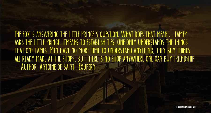 What Friendship Means Quotes By Antoine De Saint-Exupery