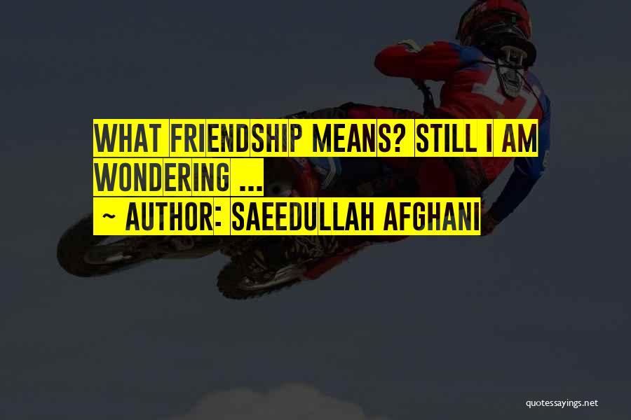 What Friendship Means Quotes By Saeedullah Afghani