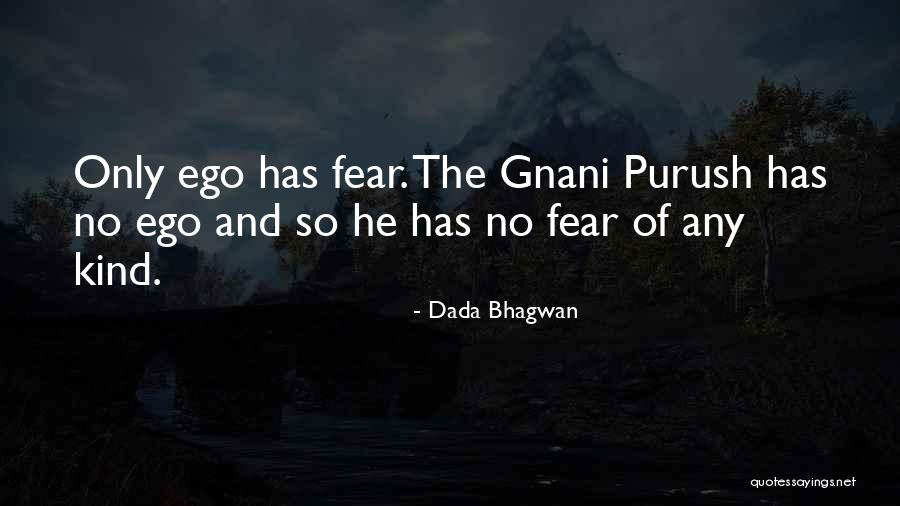 What Gnani Does Quotes By Dada Bhagwan