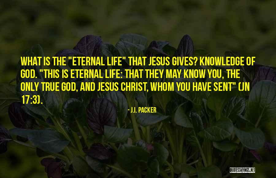 What God Gives You Quotes By J.I. Packer