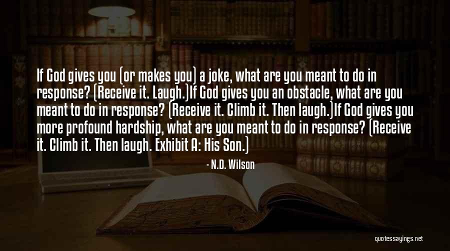 What God Gives You Quotes By N.D. Wilson