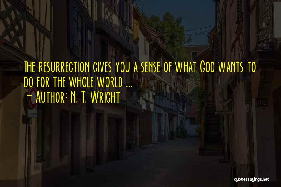 What God Wants For You Quotes By N. T. Wright