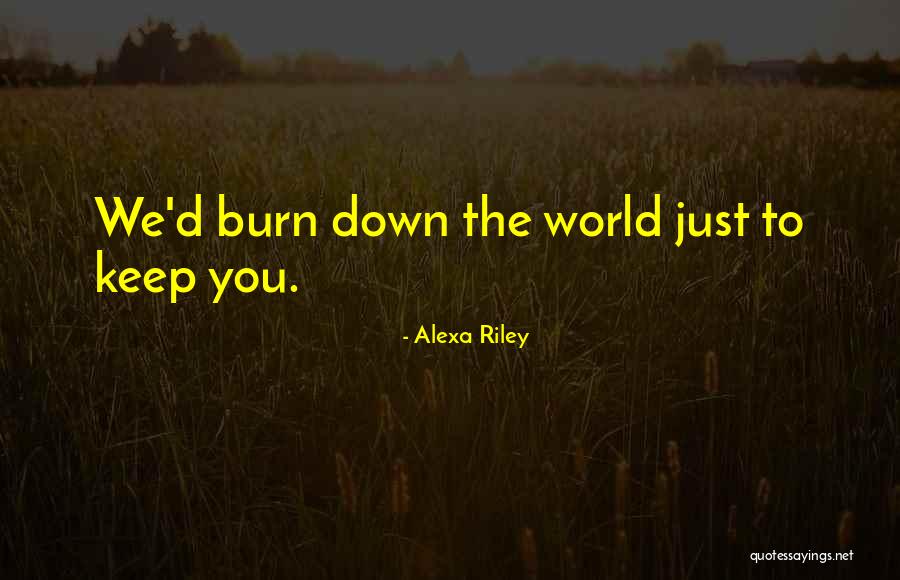 What Goes Up Must Come Down Quotes By Alexa Riley