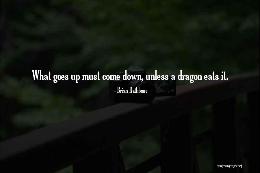 What Goes Up Must Come Down Quotes By Brian Rathbone