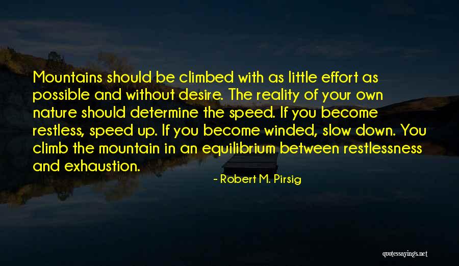 What Goes Up Must Come Down Quotes By Robert M. Pirsig