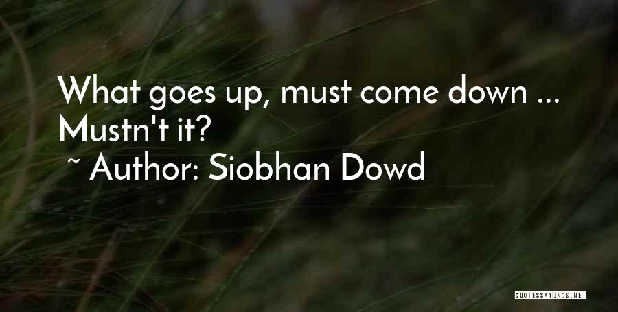 What Goes Up Must Come Down Quotes By Siobhan Dowd
