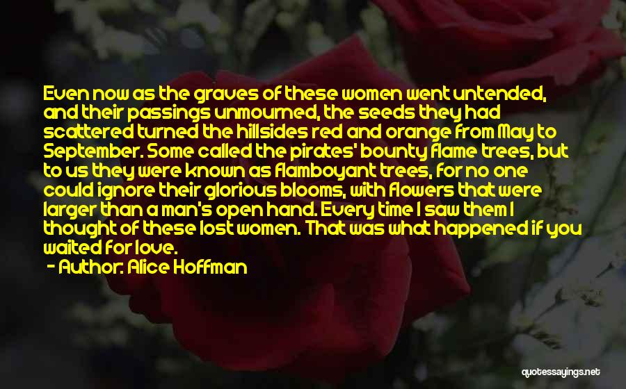 What Happened To Us Love Quotes By Alice Hoffman