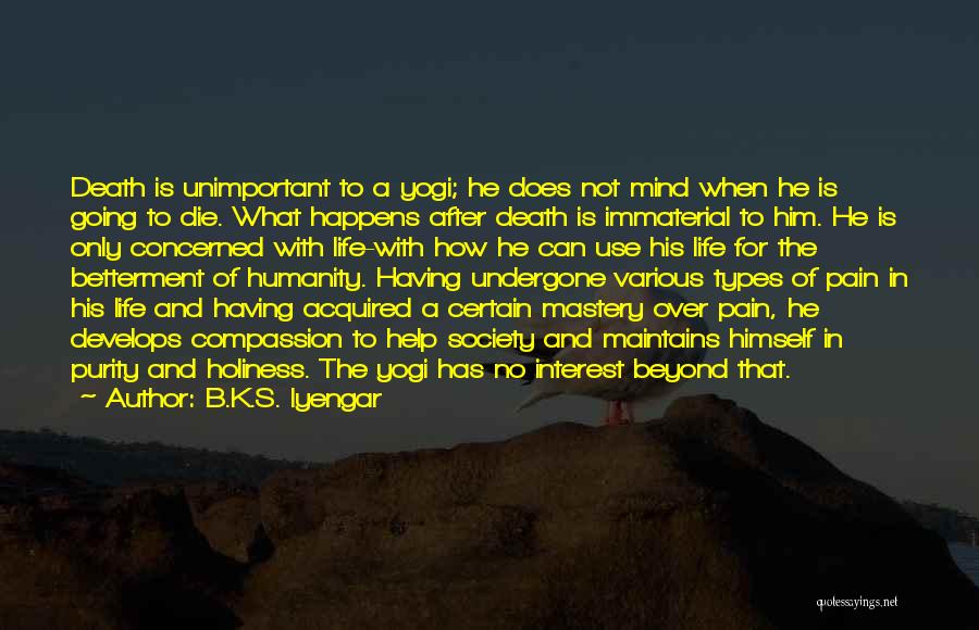 What Happens After Death Quotes By B.K.S. Iyengar