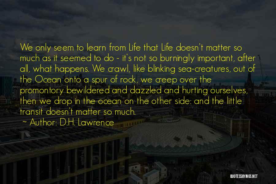 What Happens In Life Quotes By D.H. Lawrence