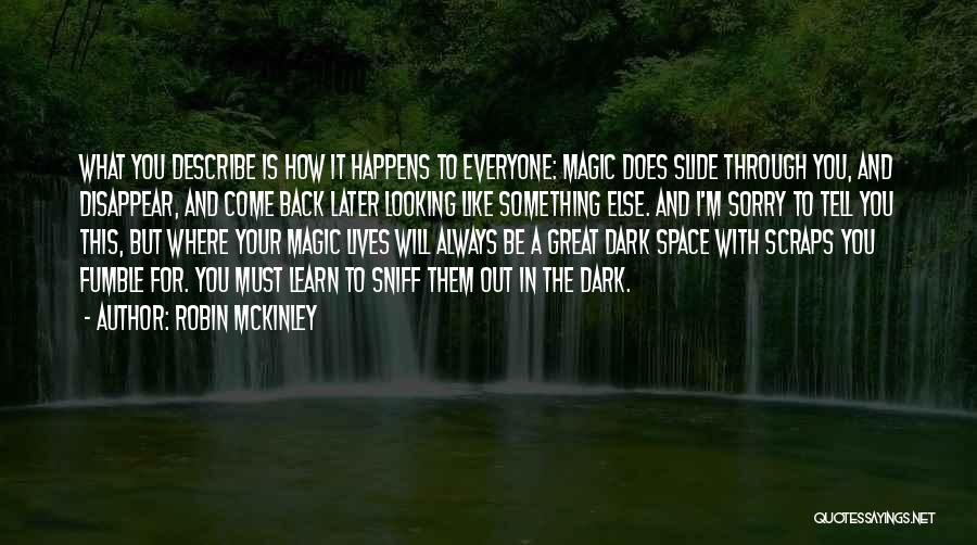 What Happens In The Dark Quotes By Robin McKinley