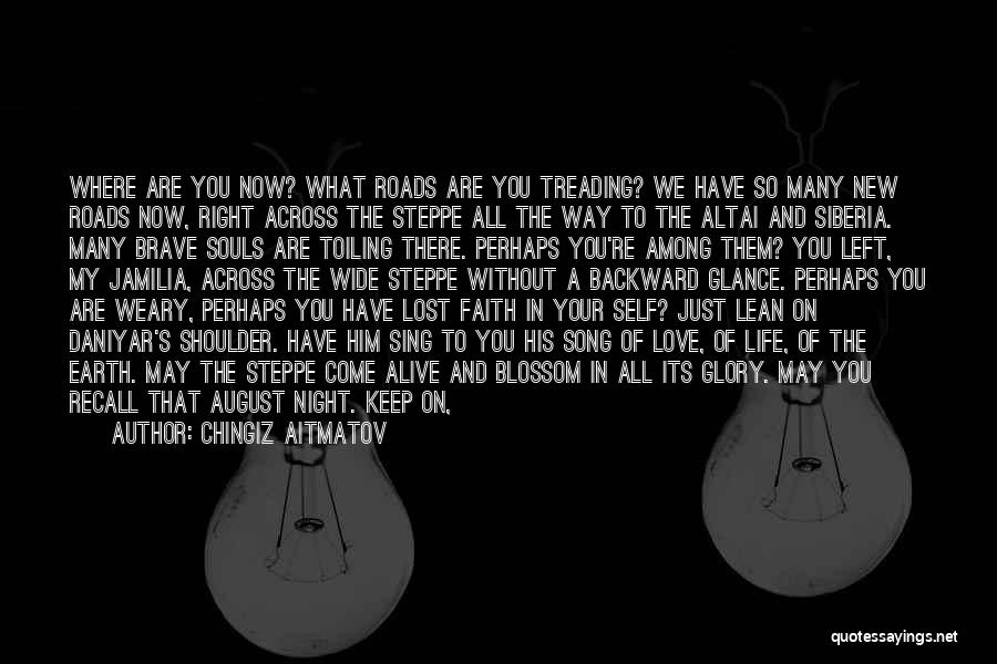 What Happiness Means Quotes By Chingiz Aitmatov What Happiness Means Quotes By Chingiz Aitmatov