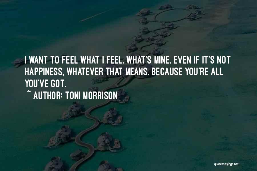What Happiness Means Quotes By Toni Morrison