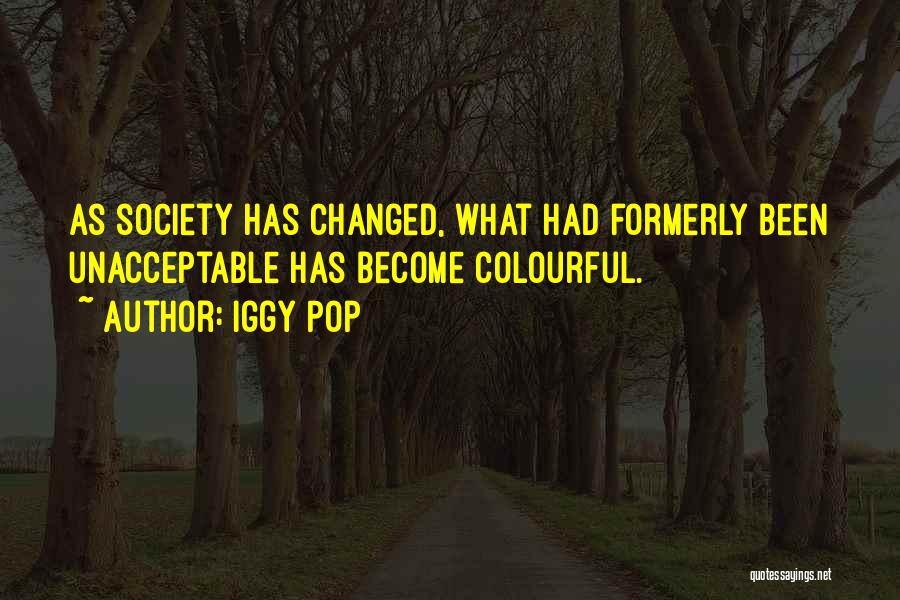 What Has Changed Quotes By Iggy Pop