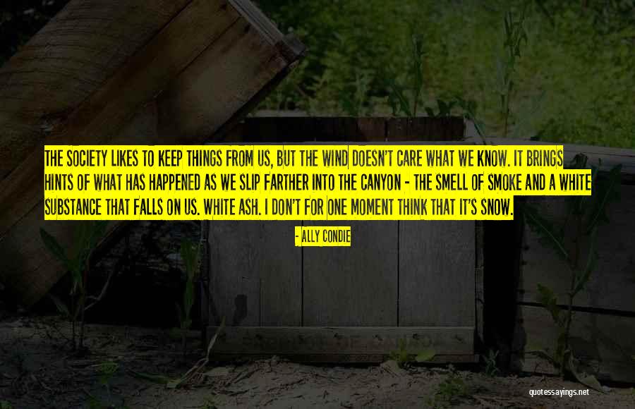 What Has Happened Quotes By Ally Condie What Has Happened Quotes By Ally Condie