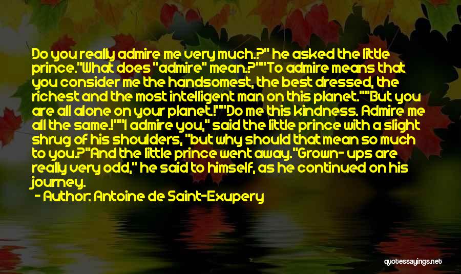 What He Means To Me Quotes By Antoine De Saint-Exupery