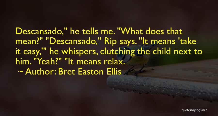 What He Means To Me Quotes By Bret Easton Ellis