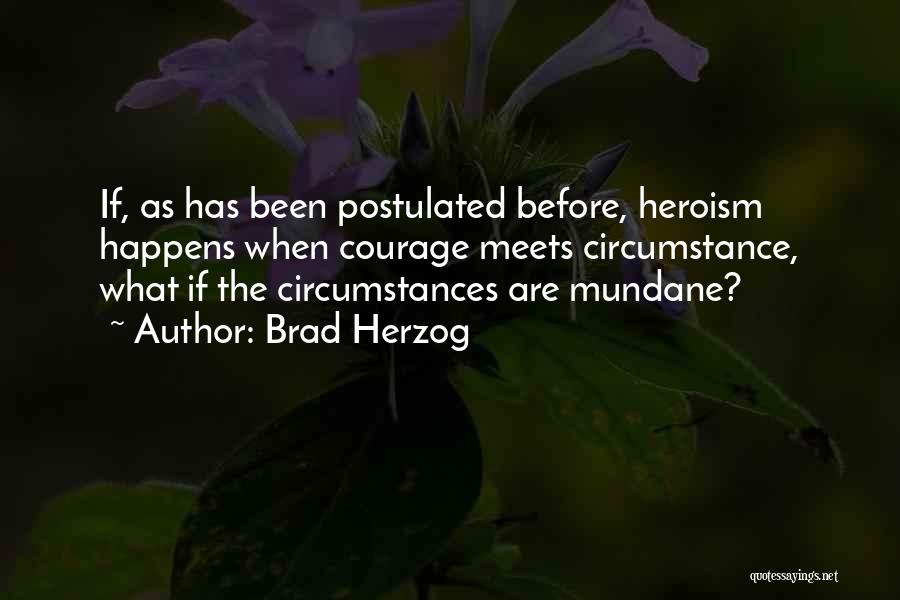 What Heroes Are Quotes By Brad Herzog