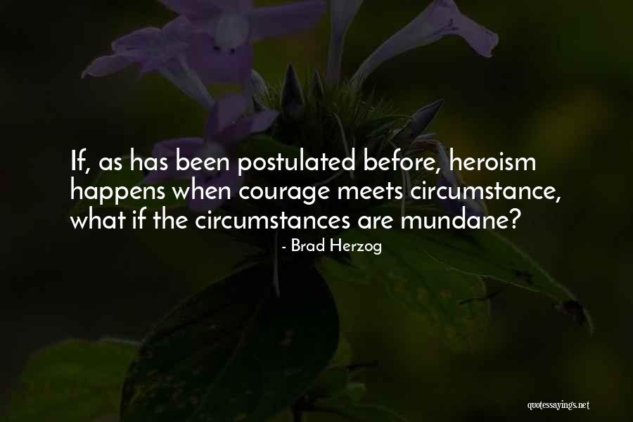 What Heroes Are Quotes By Brad Herzog