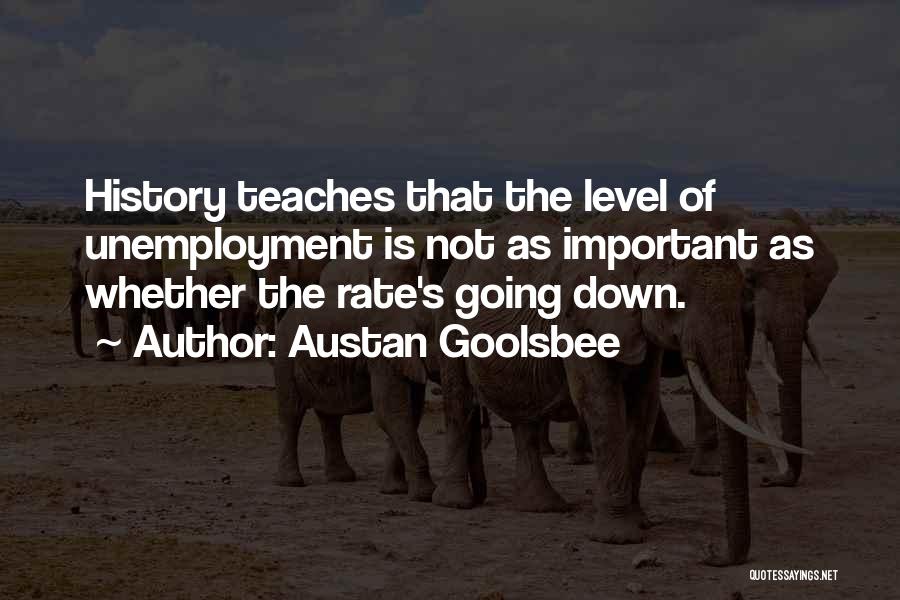 What History Teaches Us Quotes By Austan Goolsbee